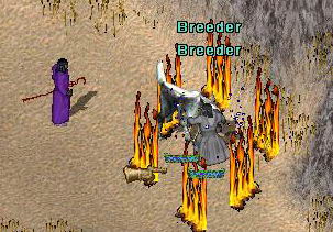 The Abyss.  Ultima Online: Changelings