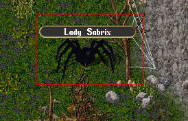 Ultima Online: Lady Lissith  Lady Sabrix