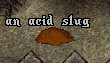 Ultima Online: Acid Slugs