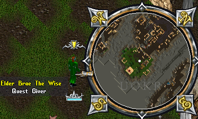 Ultima Online: Elder Brae the Wise