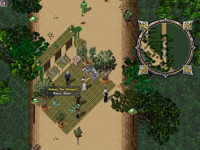 Ultima Online:  Aeluva the Arcanist